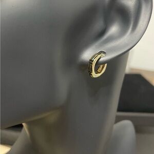 Design Hoop Earrings / Diseño Aro Aretes